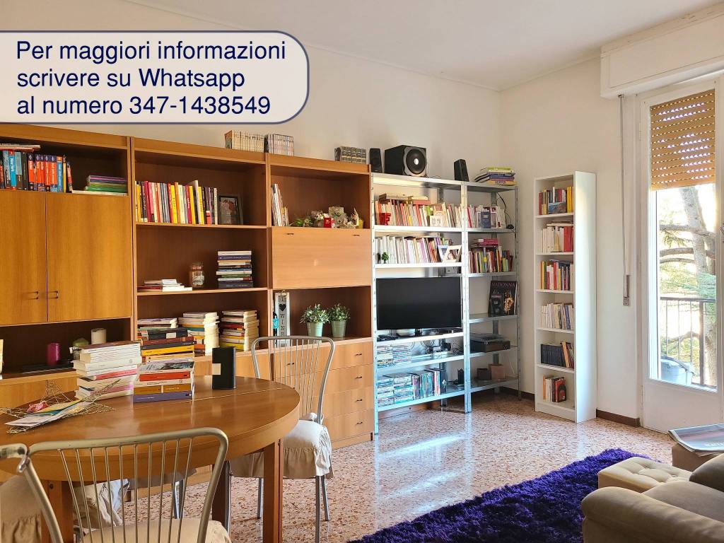 Cittadella: luminoso bilocale con balcone, ultimo piano.