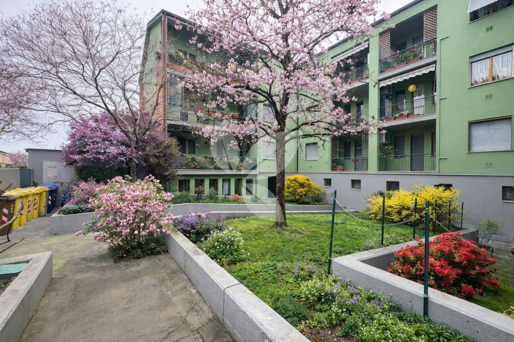 Comodo trilocale con 2 balconi, cantina e possibilità garage