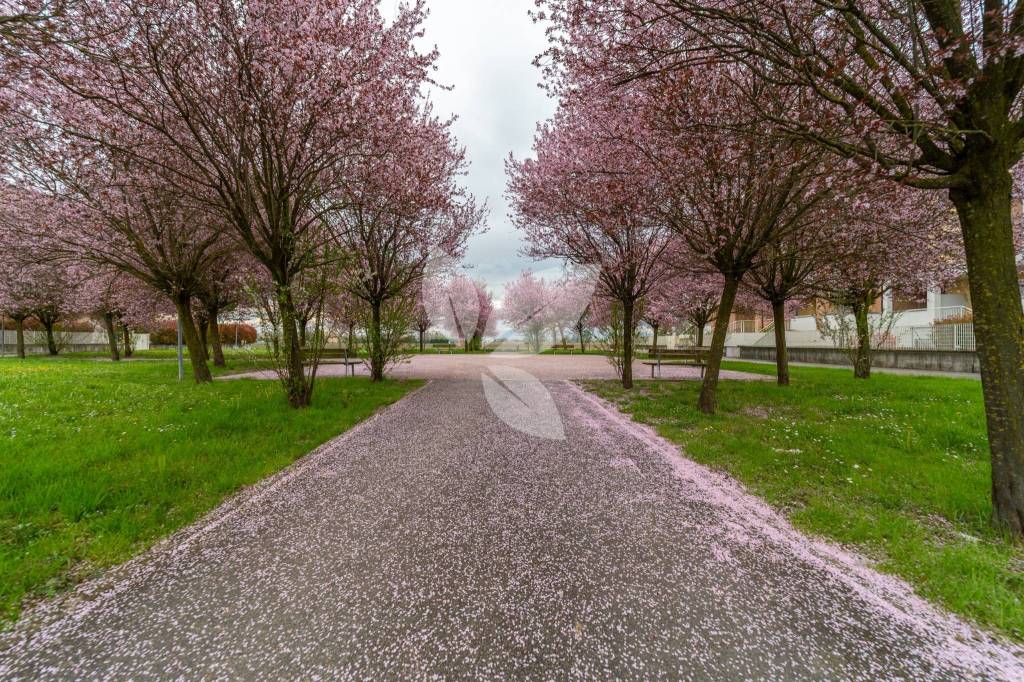 Trilocale di Residenze Marika – nuova costruzione in corte