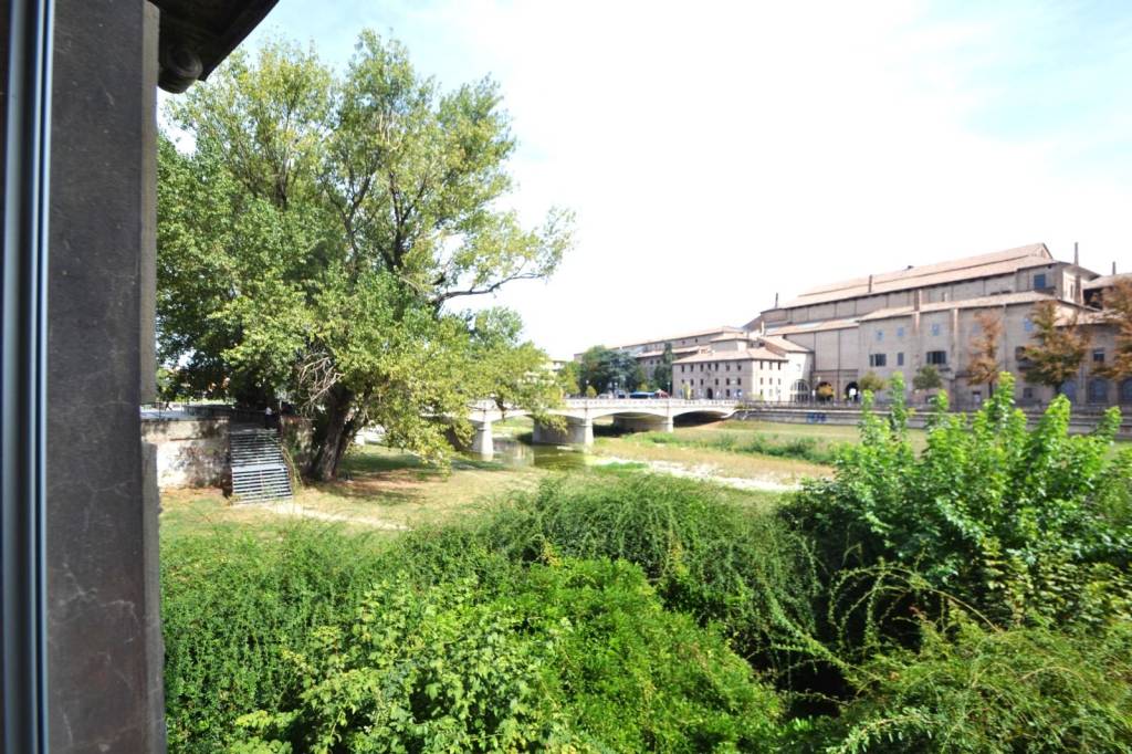 Ampi Spazi nel Cuore di Parma